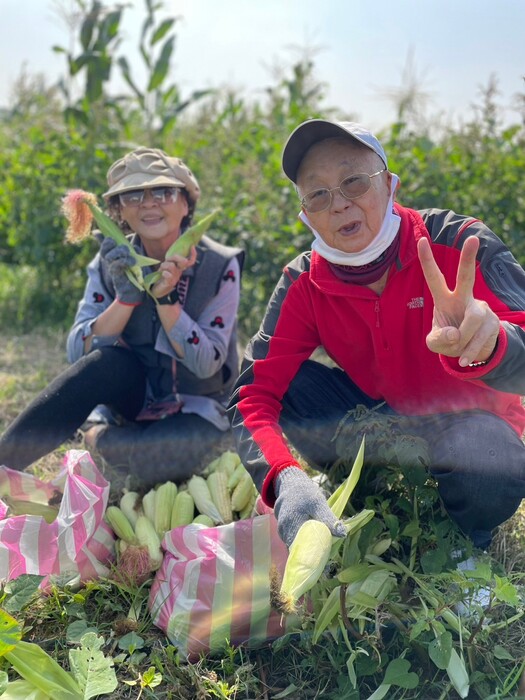 樂齡大學-芙園農場食農體驗(113.01.03)圖片